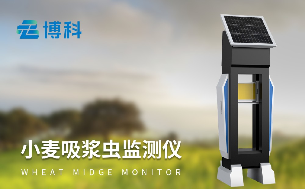 小麥吸漿蟲測報(bào)儀